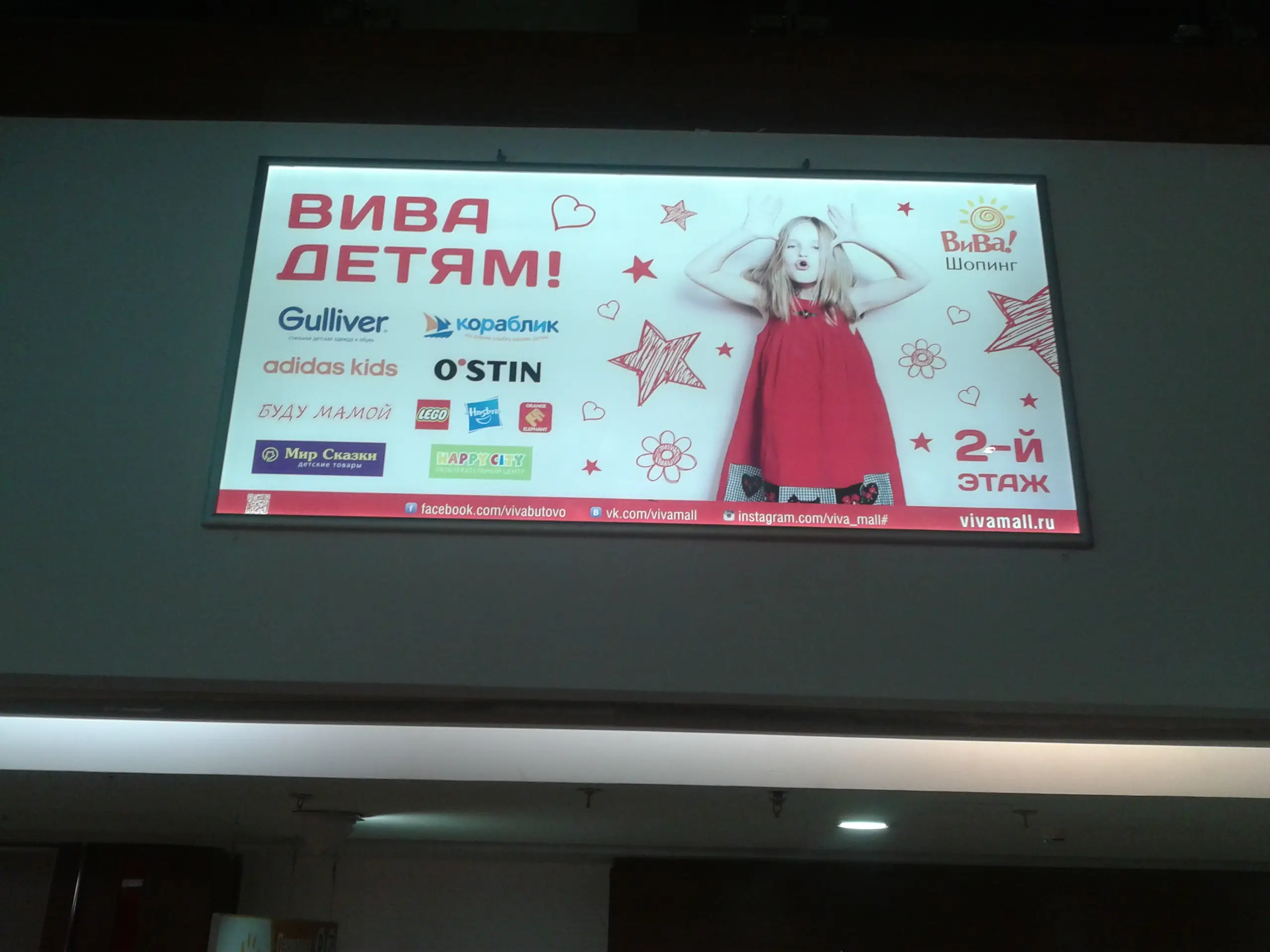Бэклиты